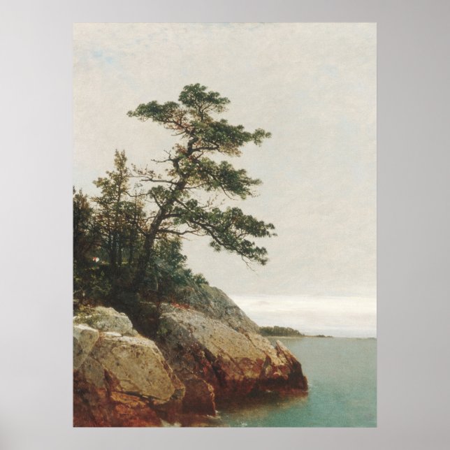 Poster John Frederick Kensett Old Pine Landscape Impressã (Frente)