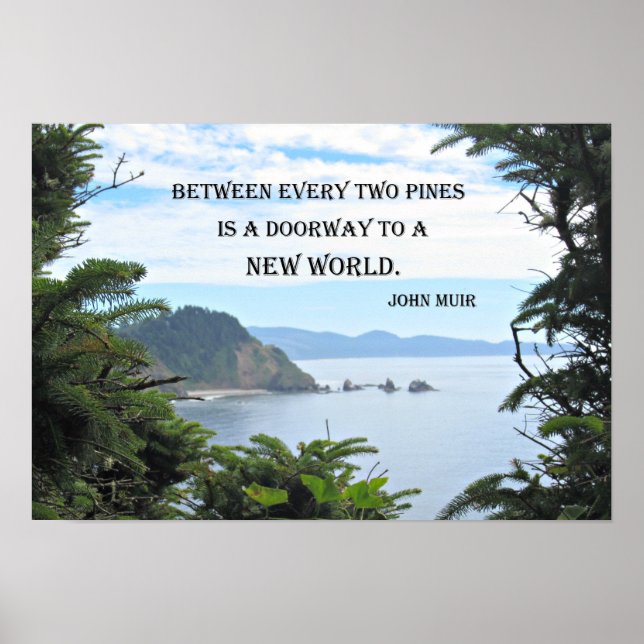 Poster John Muir: "Entre cada dois pinheiros está uma por (Frente)