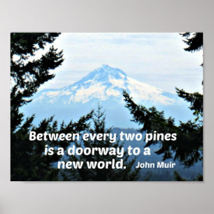 Pôster John Muir: "Entre cada dois pinheiros está uma por