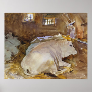 Poster John Singer Sargent - Oxen