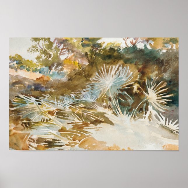 Poster John Singer Sargent - Paisagem com Palmettos (Frente)
