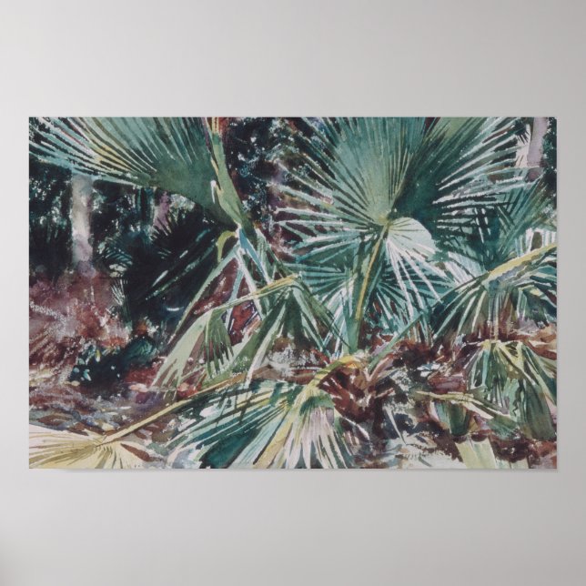 Poster John Singer Sargent - Palmettos (Frente)