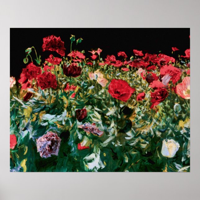 Pôster John Singer Sargent Poppies Fine Art (Frente)