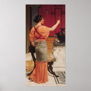 Pôster John William Godward - Lesbia com seu pardal
