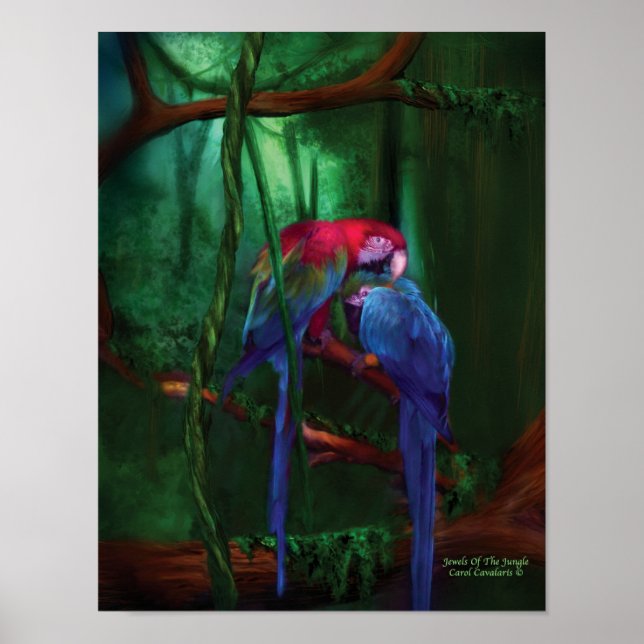 Pôster Joias Da Arte Selvagem Poster/Impressão (Frente)