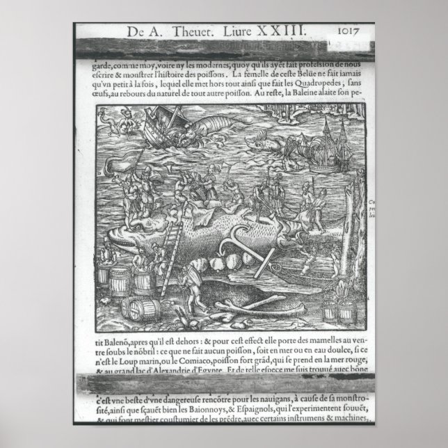 Poster Jointing a whale (Frente)