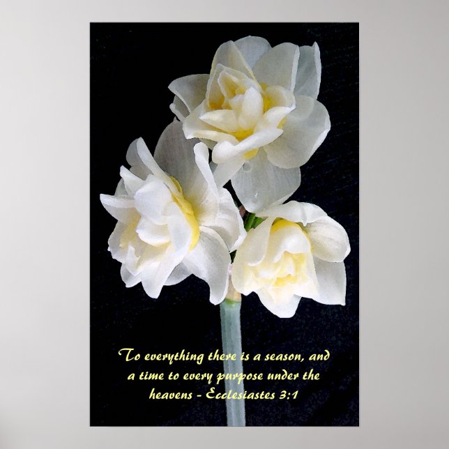 Poster Jonquil Flower - Eclesiastes 3:1 (Frente)
