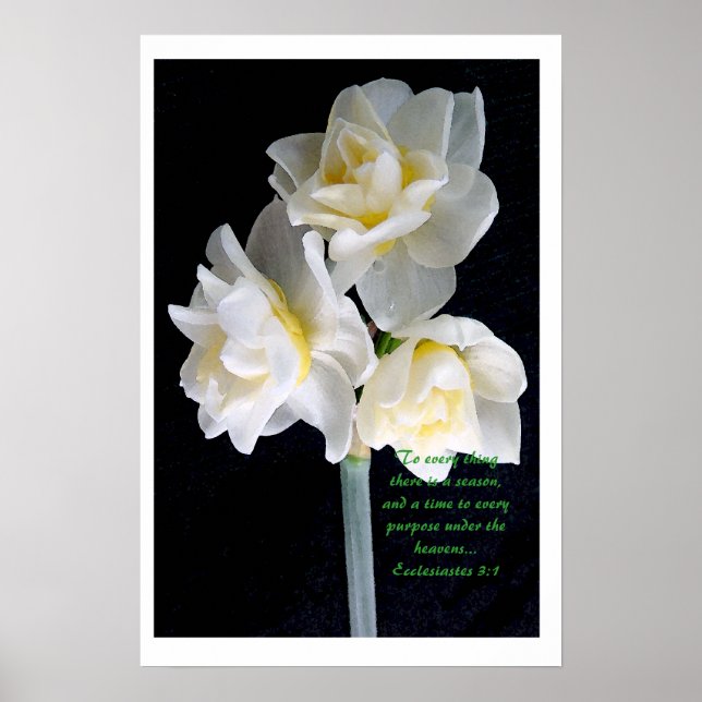 Poster Jonquil Flower - Eclesiastes 3:1 (Frente)