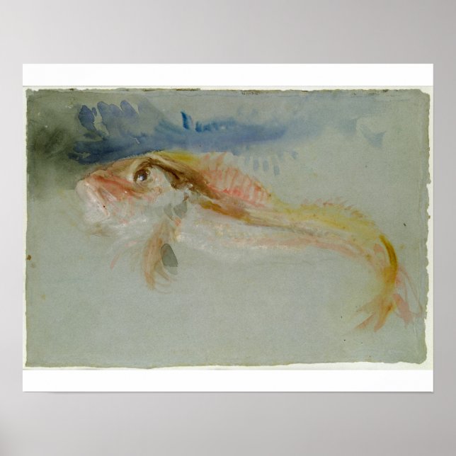 Pôster Joseph Mallord William Turner | A Gurnard (Frente)