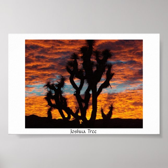 Poster Joshua Tree (Frente)