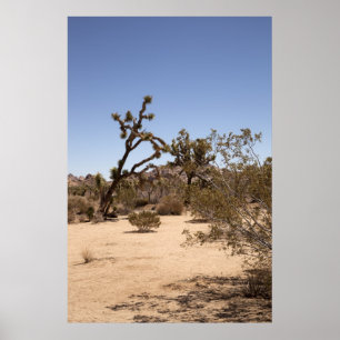 Poster Joshua Tree