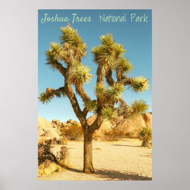 Poster Joshua Tree (Frente)