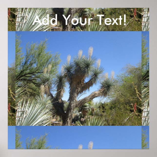 Pôster Joshua Tree (Frente)