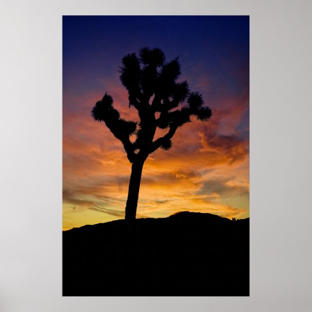 Poster Joshua Tree (Frente)