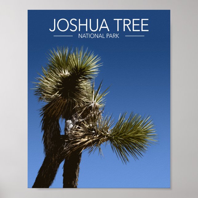 Poster Joshua Tree National Park Branches Estilizados Via (Frente)