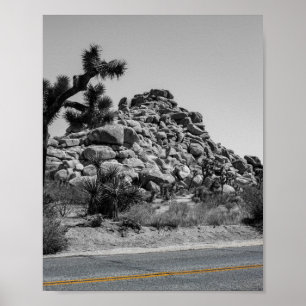 Poster Joshua Tree Rocks with Road - California Photo