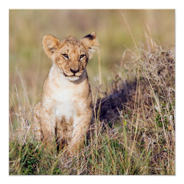 Pôster Jovem (Frente)