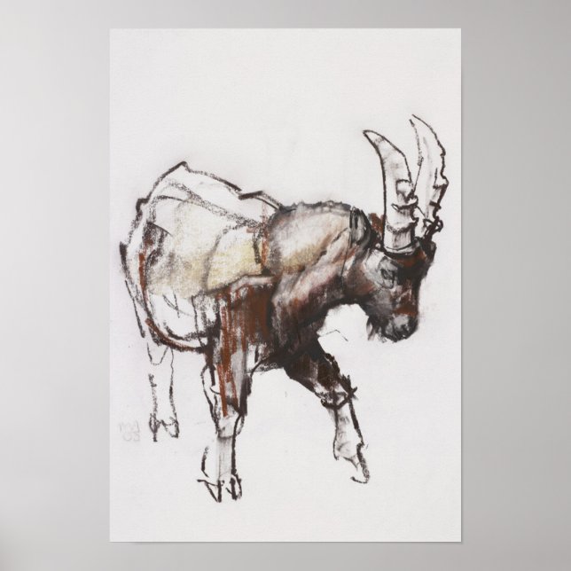 Poster Jovem Ibex Gran Paradiso 2005 (Frente)