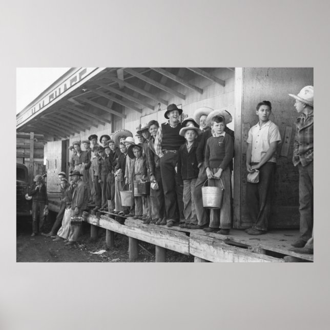 Pôster Jovens apanhadores de ervilha, anos 40 (Frente)