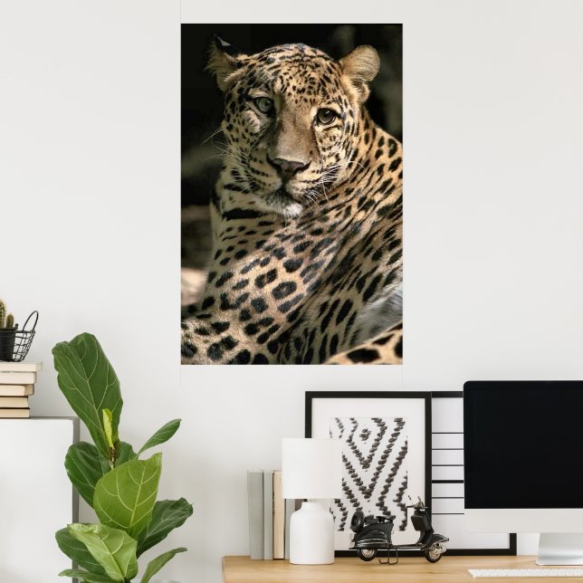 Poster Jovens Presentes de Arte de Leopardo (Escritório em casa)