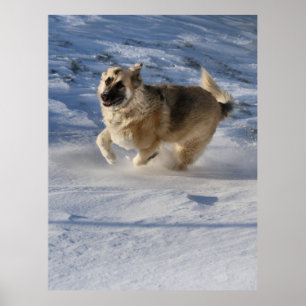 Poster Joy em movimento