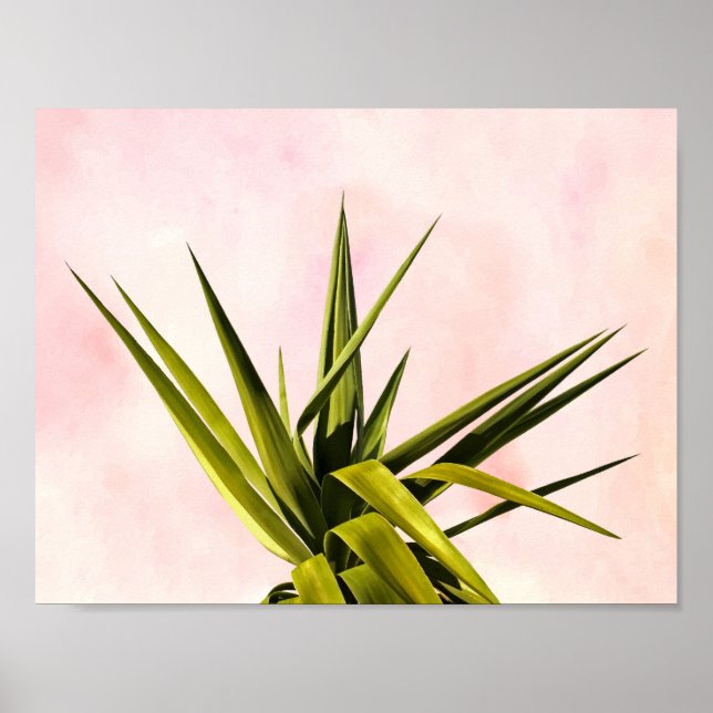 Poster Joy of Dreams (Frente)