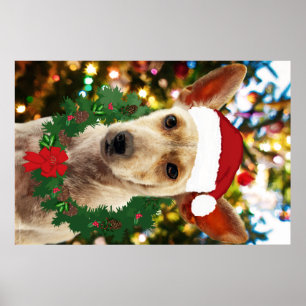 Poster Joy para o Puppy