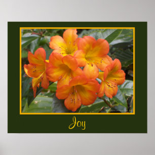 Poster Joy Zen Meditation Orange Flowers Photo Templat