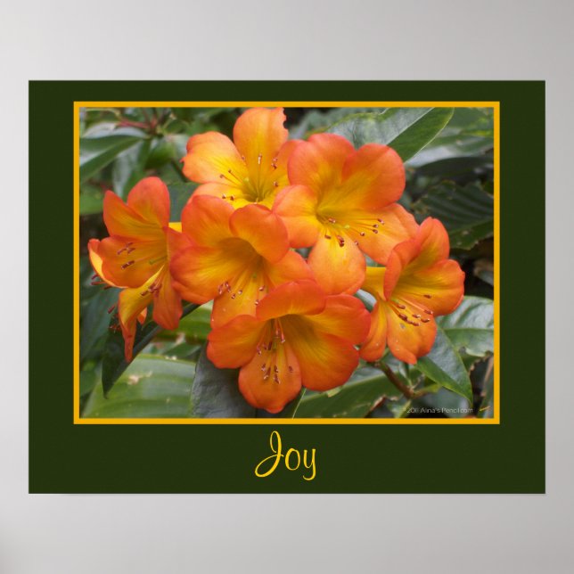 Poster Joy Zen Meditation Orange Flowers Photo Templat (Frente)