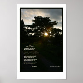 Poster Joyce Kilmer poem Trees 8 1/2 x 11