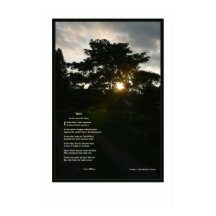 Joyce Kilmer Trees 24x36