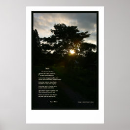 Poster Joyce Kilmer Trees 24x36