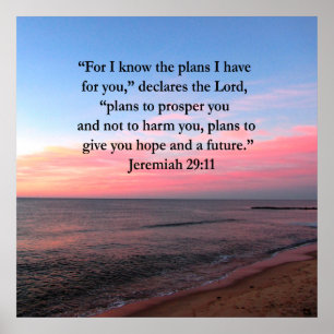 PÔSTER JOYFUL JEREMIAH 29:11 SOL