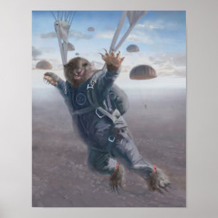 Poster Joyride aéreo de Wombat