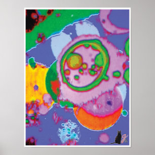 Pôster Juicey KC Image