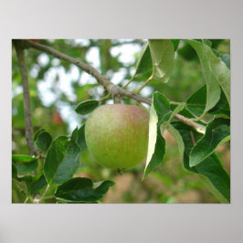 Poster Juicy Green Apple