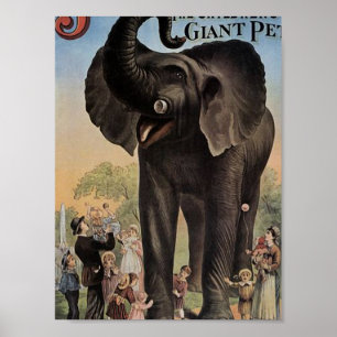 Poster Jumbo o teatro retro do elefante gigante