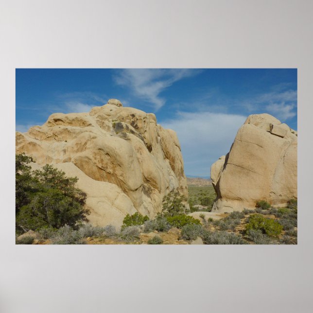 Pôster Jumbo Rocks no Parque Nacional Joshua Tree (Frente)