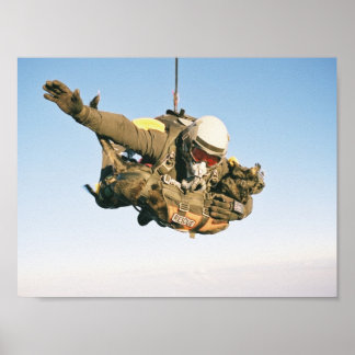 Pôster Jumpers de Emergência