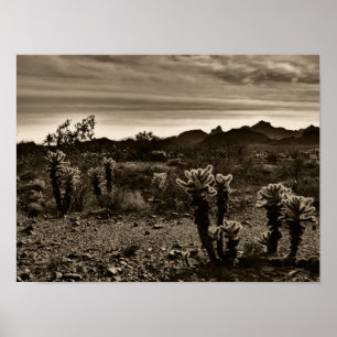 Poster Jumping Cholla Cactus