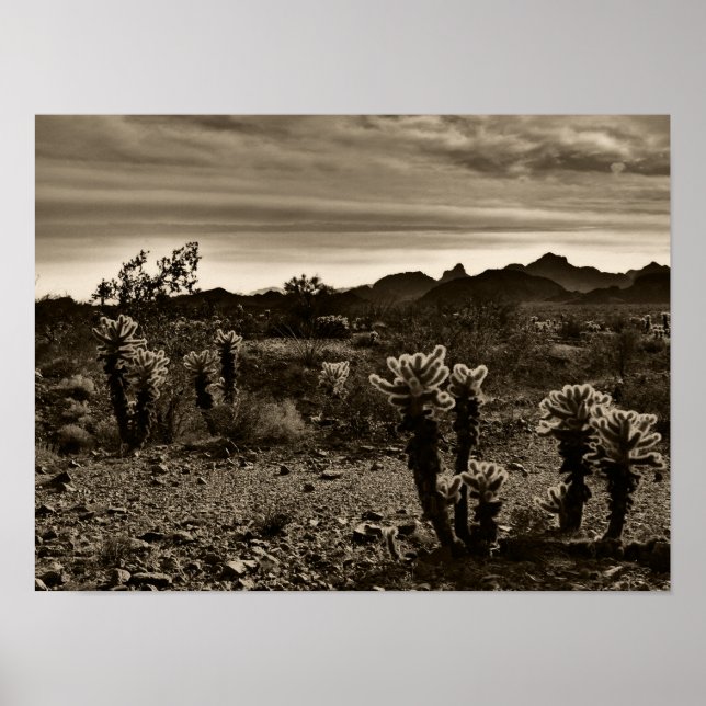 Poster Jumping Cholla Cactus (Frente)