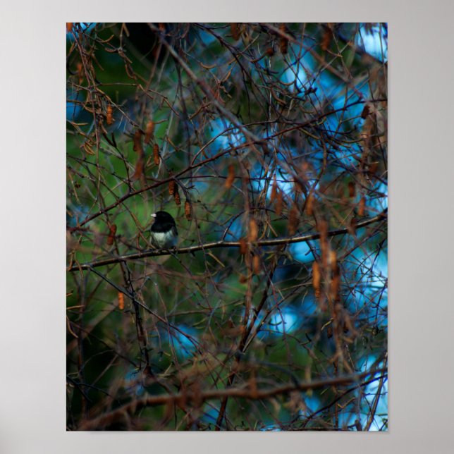 Poster Junco (Frente)