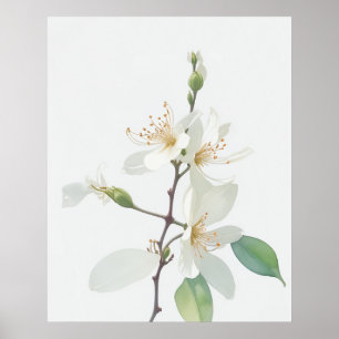Poster June Honeysuckle Birth Flower