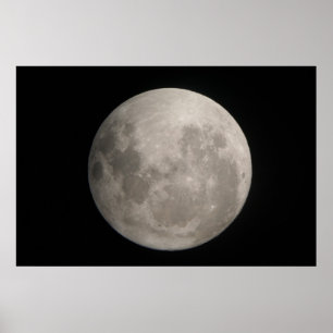 Poster June Moon