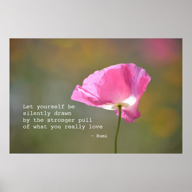 Poster June Poppy (Frente)