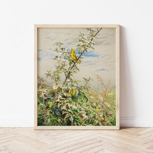 Poster Junho   Fidelia Bridges