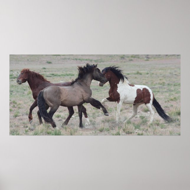 Pôster Juntando-se (Frente)