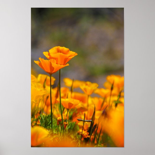 Poster Juntos (Frente)