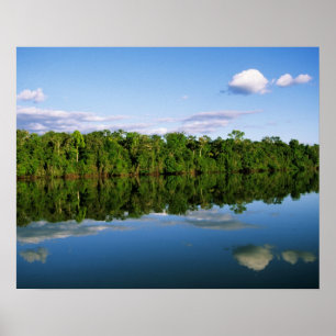 Pôster Juruena, Brasil. Margem florestal do rio refletida