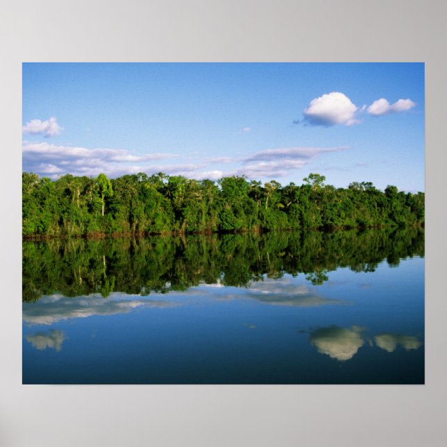 Pôster Juruena, Brasil. Margem florestal do rio refletida (Frente)